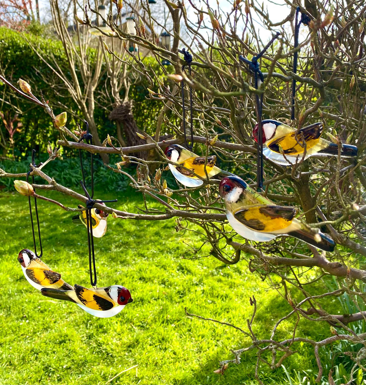 hgs_goldfinches.jpg
