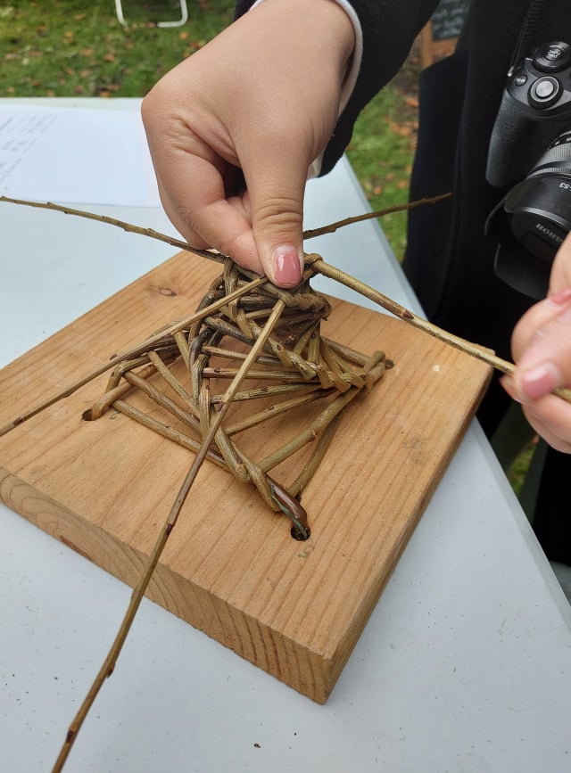 willow weaving